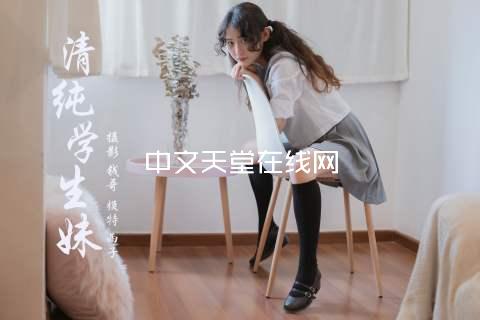 中文天堂在线网